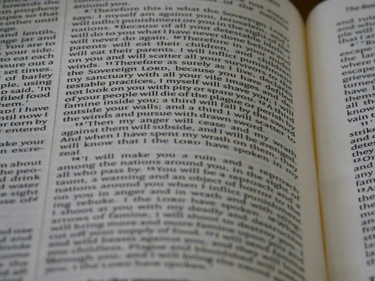 an open book showing text reading the bible