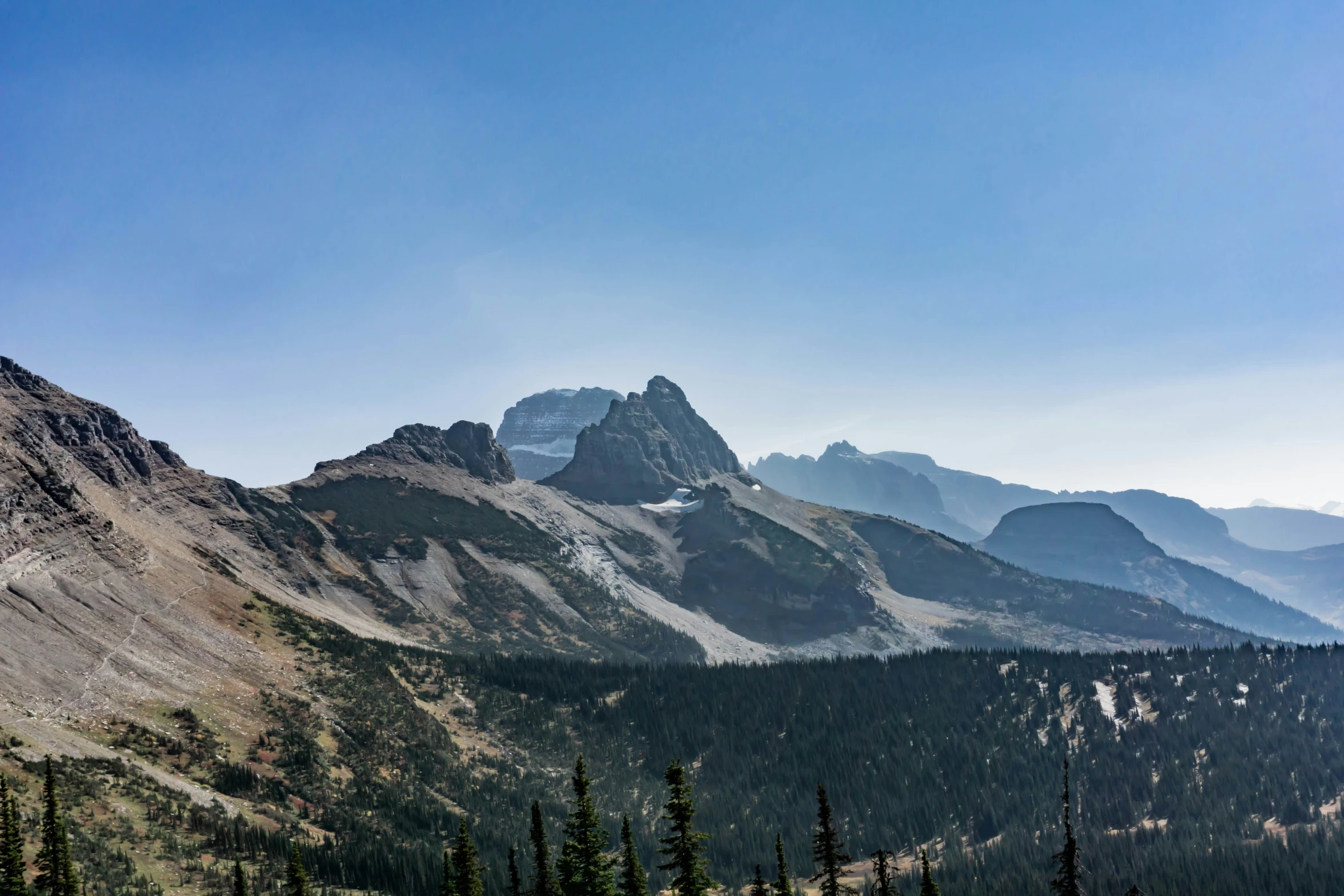 the mountain range with lots of trees on top