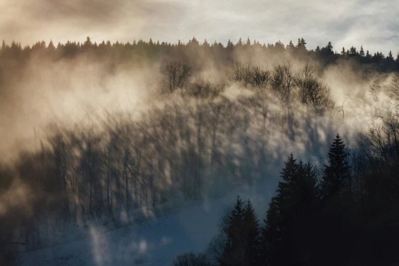 a forested mountain in the distance has fog rising up