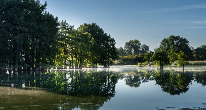 a body of water surrounded by trees and blue sky