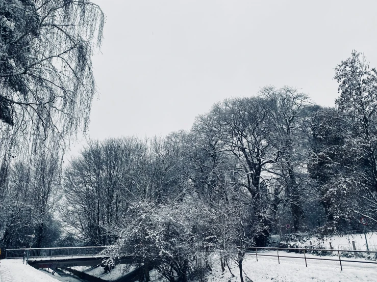 a black and white po of snow and trees