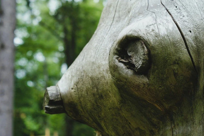 a close up view of a statue made of a cow