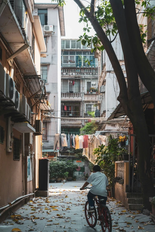 man on bike in city street surrounded by tree and buildings