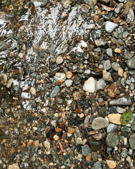 rocks, grass and mud in a pond