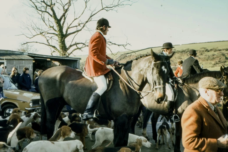 people riding horses with some dogs