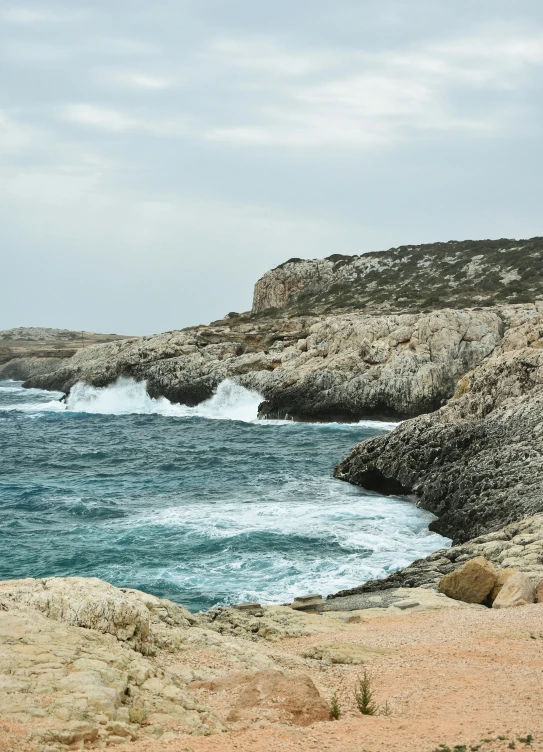 a lone bird stands on the rock by the ocean