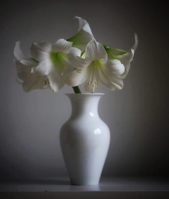 a white vase with white flowers on a table