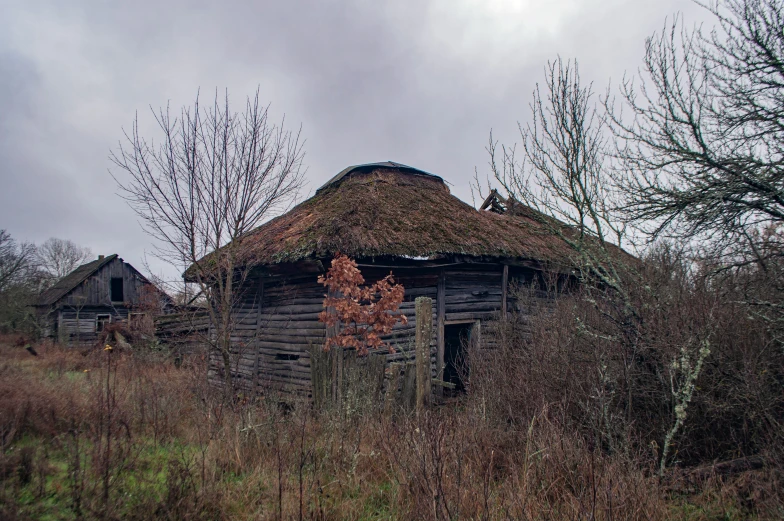 a dilapidated hut in a field near some trees