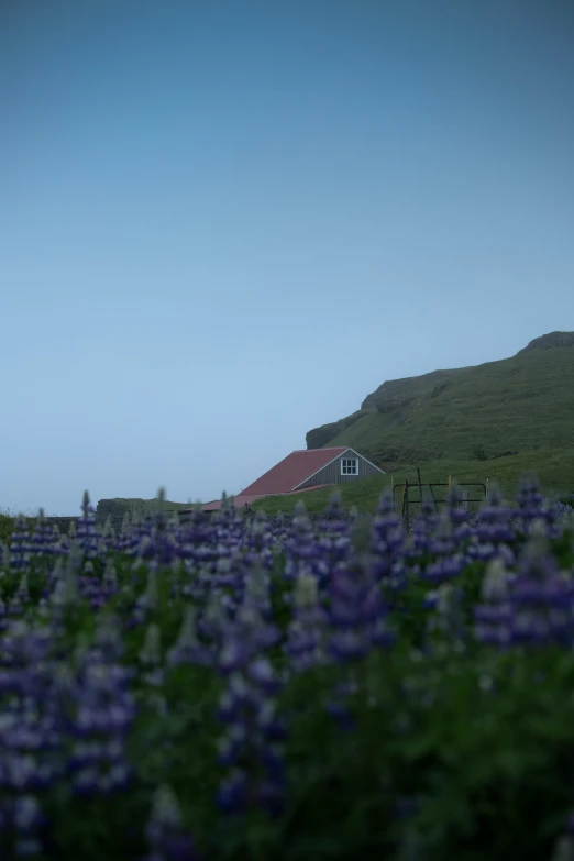 an image of a farm on a hill