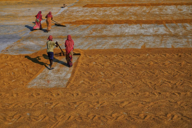 four people walking in a grassy area together