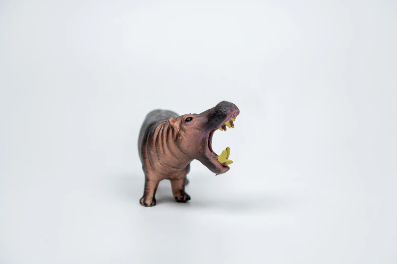 a stuffed hippo animal on white background with its mouth open