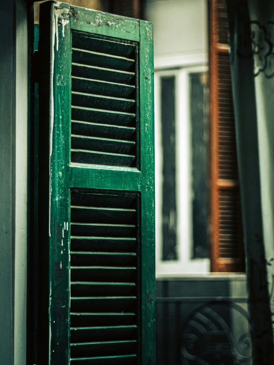 the shutters in this door are green