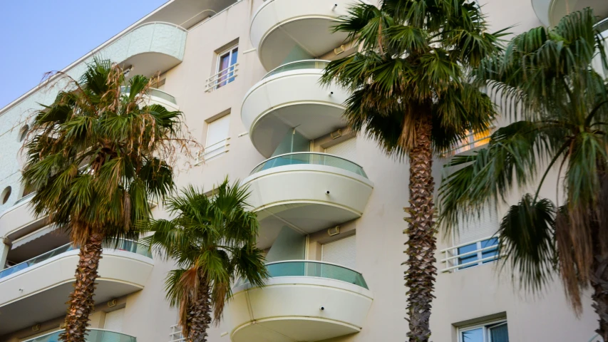 several palm trees stand next to an apartment building
