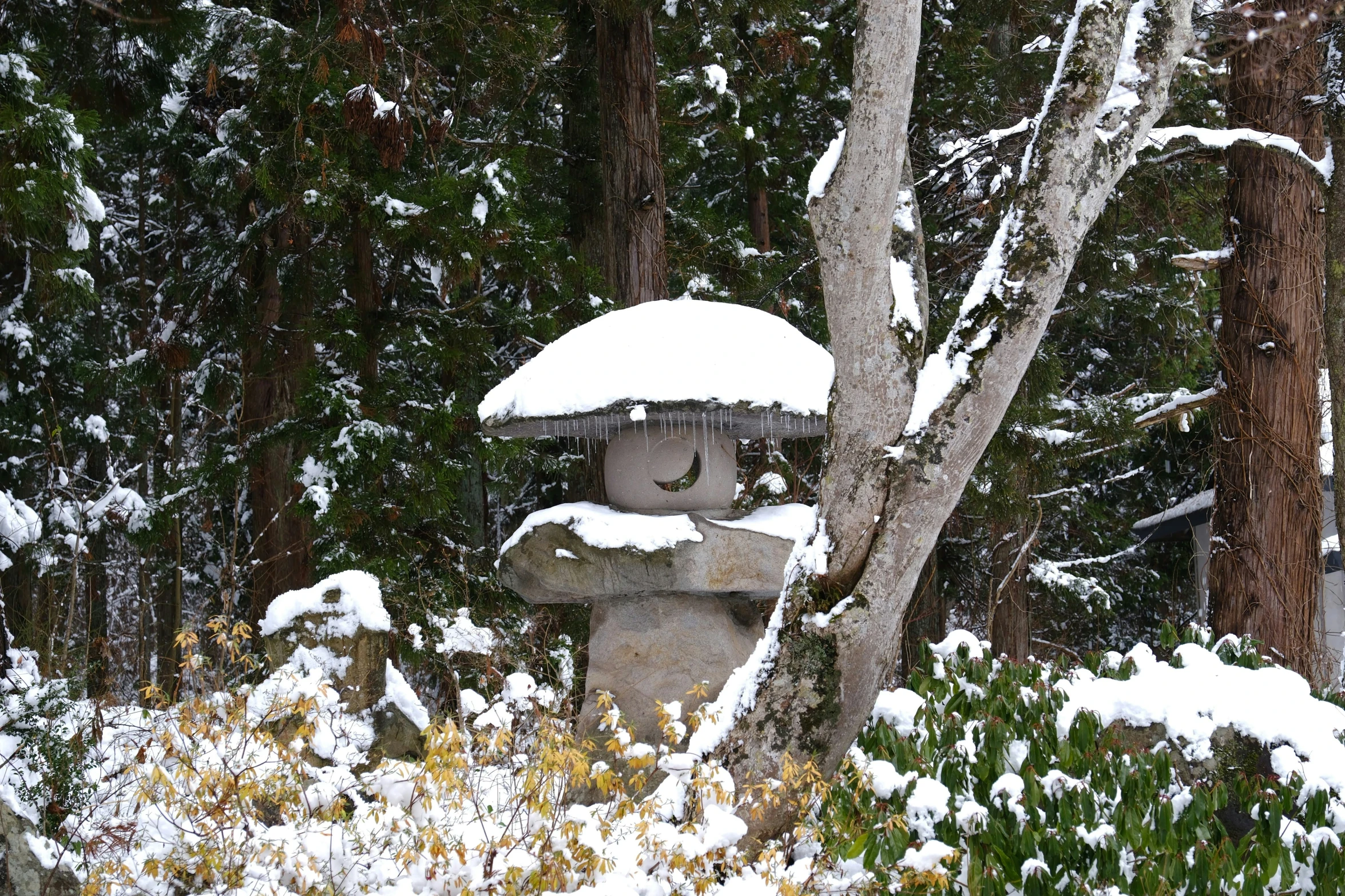 a statue with trees behind it, covered in snow