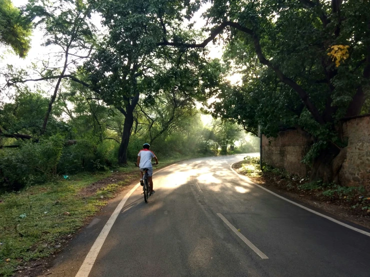 man riding on bicycle down a paved road in the woods