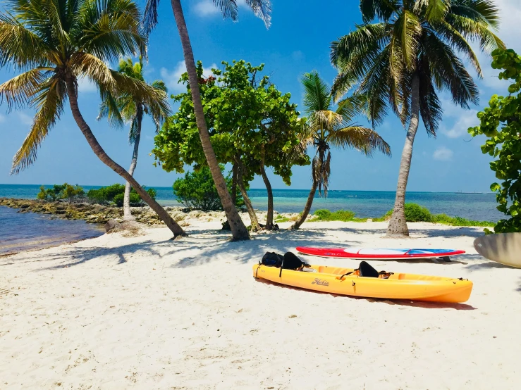 a dog laying on top of two kayaks in the sand