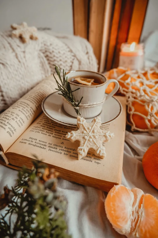 cup of coffee with cinnamon on an open book next to a cinnamon star ornament