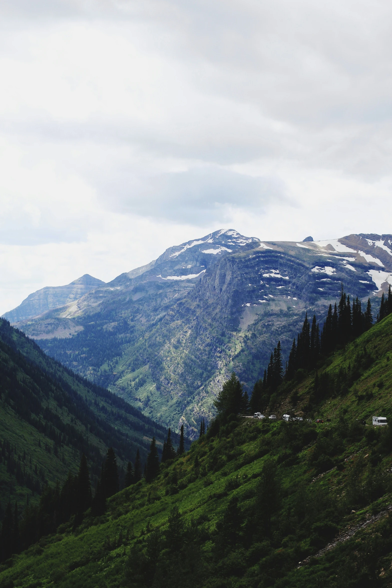 some trees and mountains with snow on them