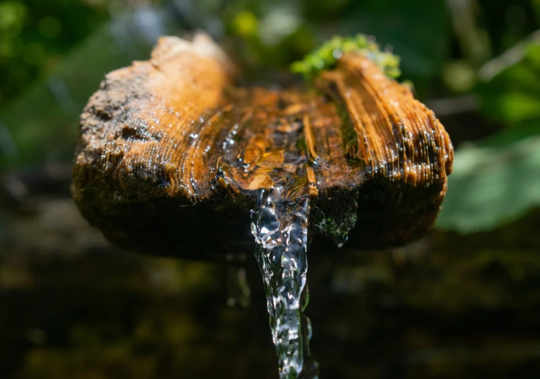 a close up of the water dripping from a wooden object