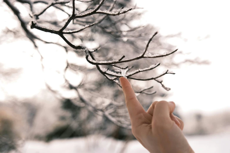 a person holding up their fingers to the sky