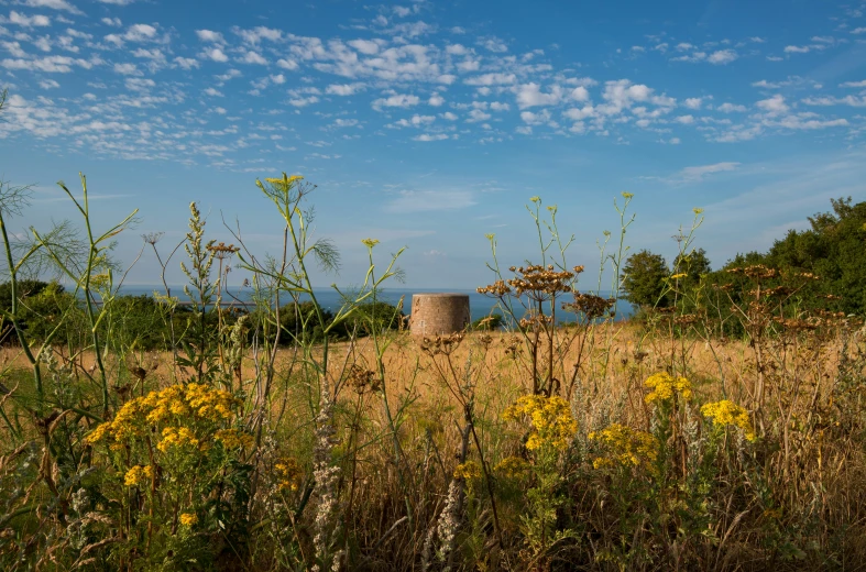 the sky is partly clouded by clouds above an abandoned house