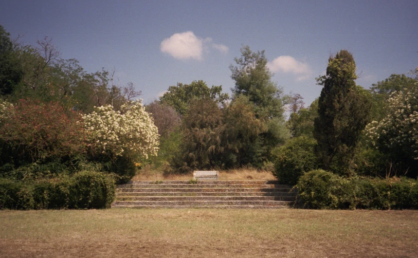 there is a park with some stairs in the grass