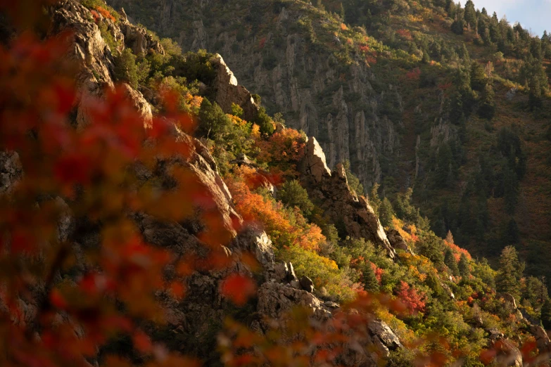 a beautiful mountain view with trees and rocks all around