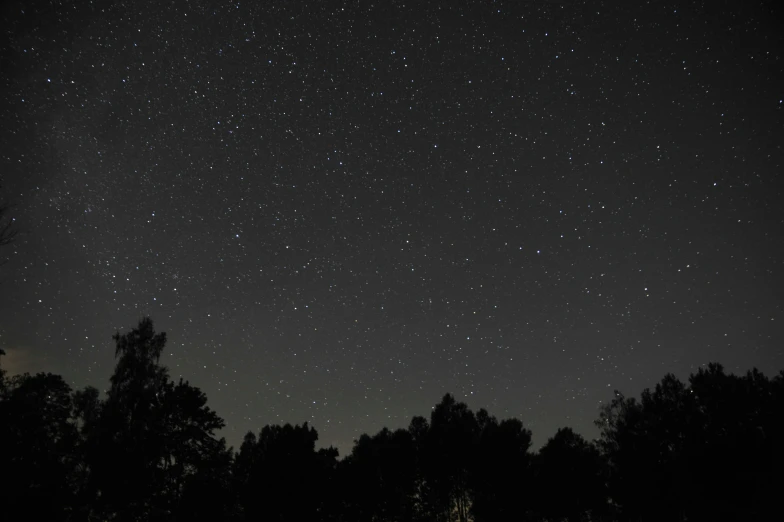 the night sky with stars and silhouettes of trees