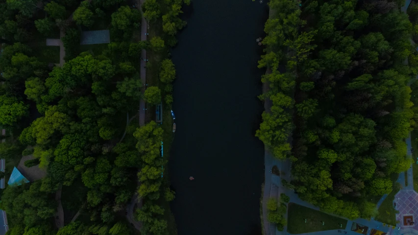 a picture of a boat on a river and the forest surrounding it