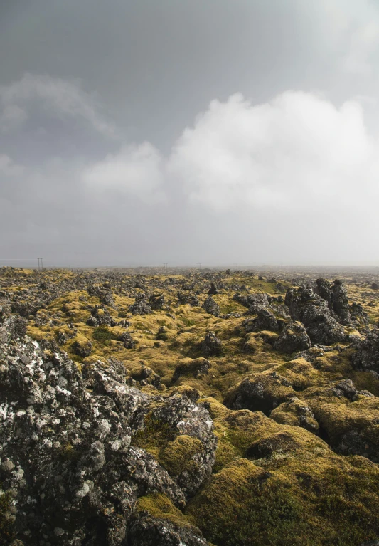 a herd of sheep grazing on a rocky hillside