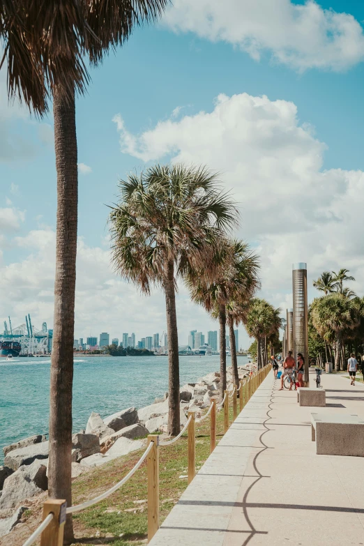 some benches some palm trees water and buildings