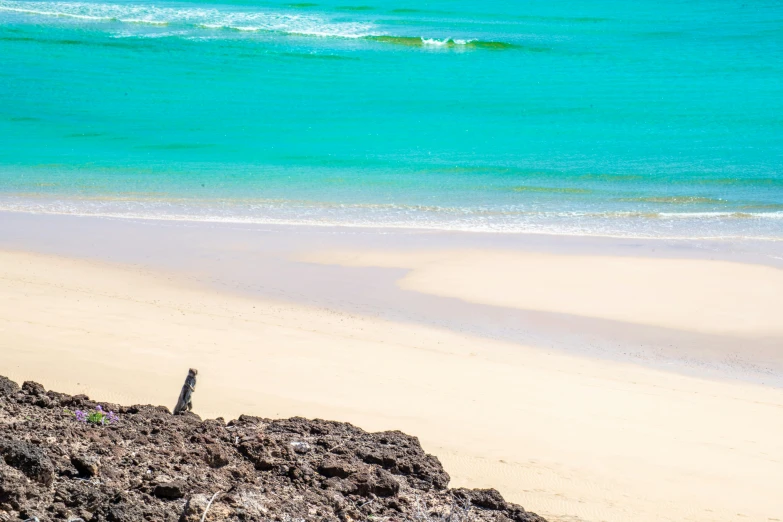 a lone sign stands on an empty beach near the water