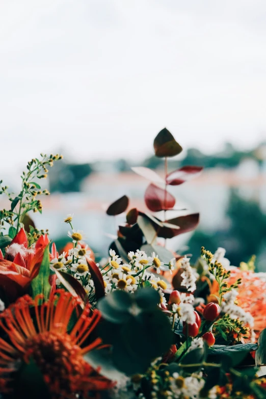 a bunch of different types of flowers are grouped together