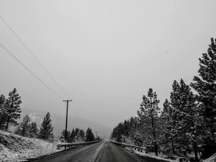 a road that is surrounded by snow and trees