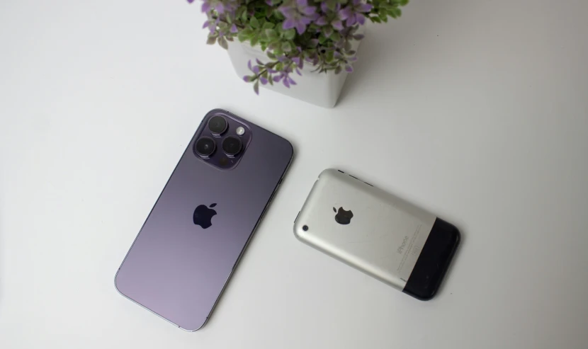 a picture of an iphone, a camera, and some plant on a white surface