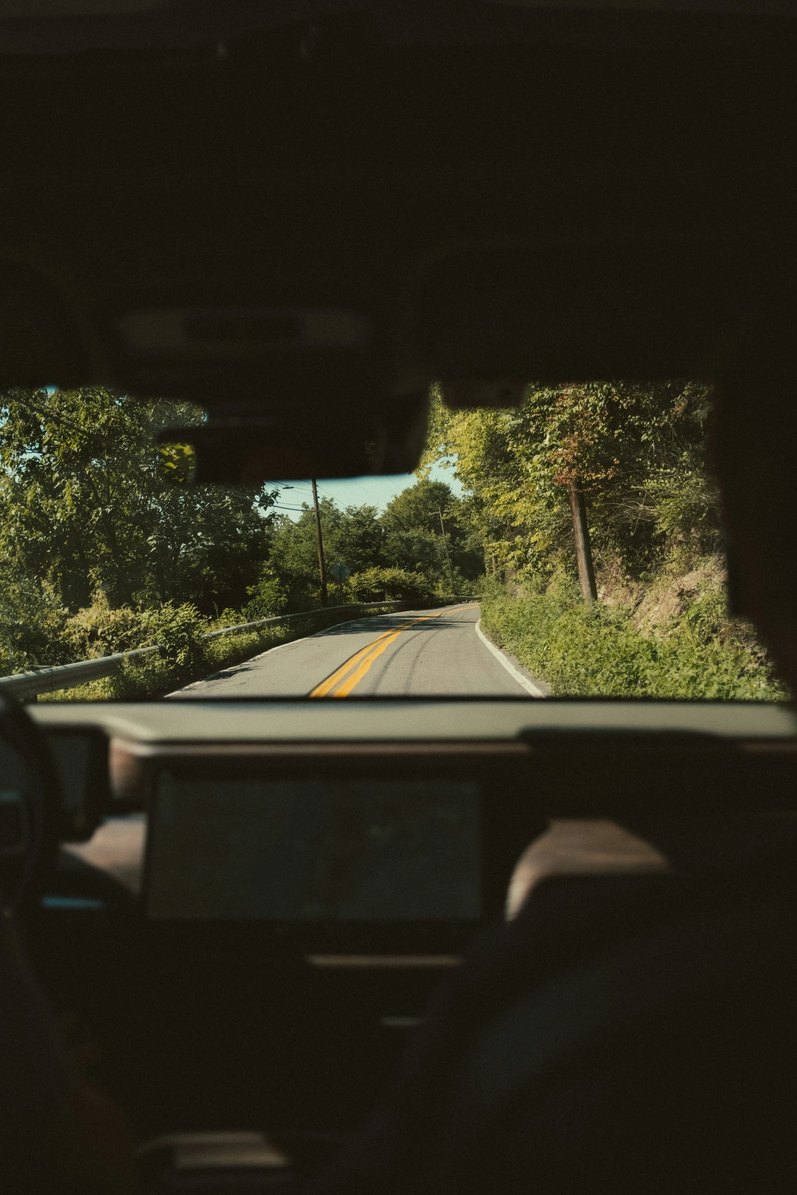 view from the dashboard of a vehicle during a drive on an asphalt road in a forested area