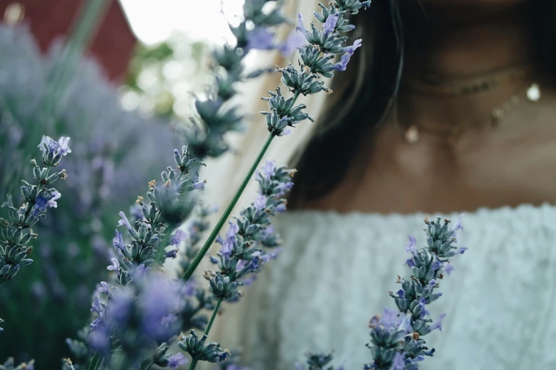 a woman in an off - shouldered white dress near some lavender flowers