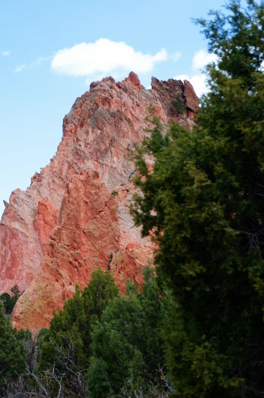 a mountain side with green trees and sky above