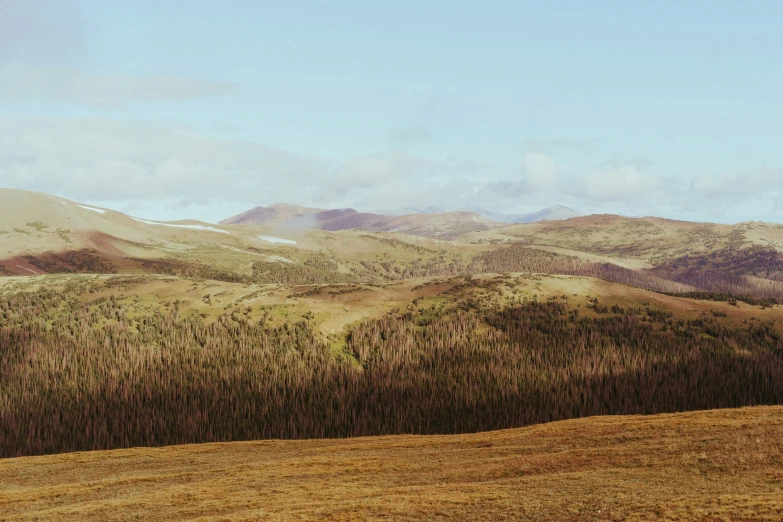 the hills are covered in brown grass and trees