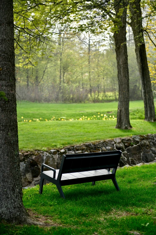 a bench sitting next to a tree with a wall behind it