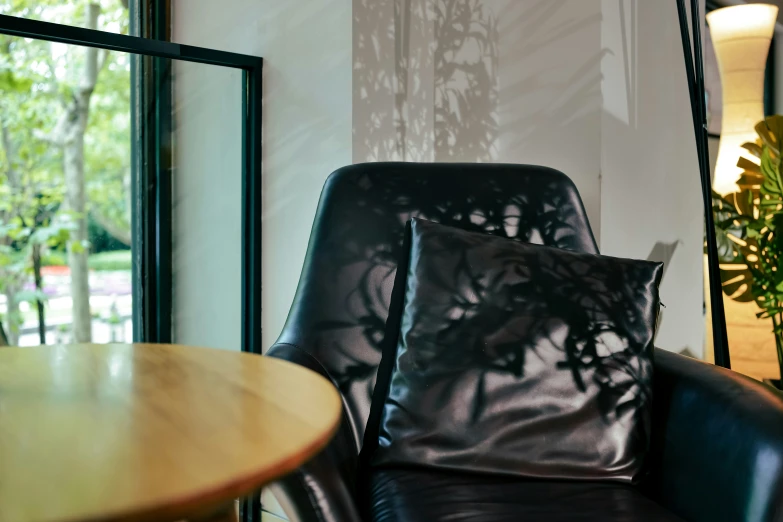 a view of a chair with a pillow on it near some plants