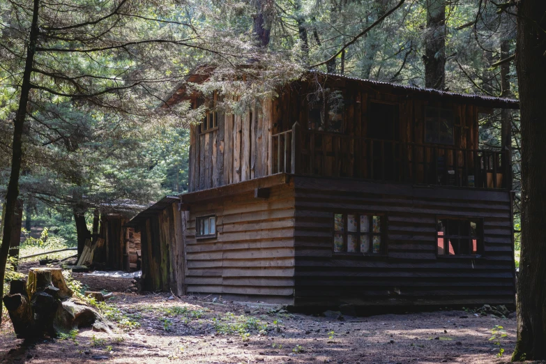 a small log house sits between two tall trees