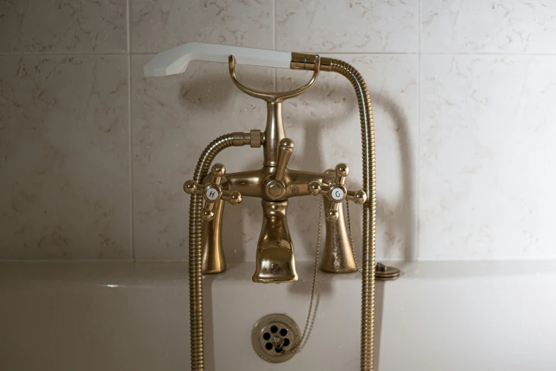 a bathtub with a gold shower head and faucet