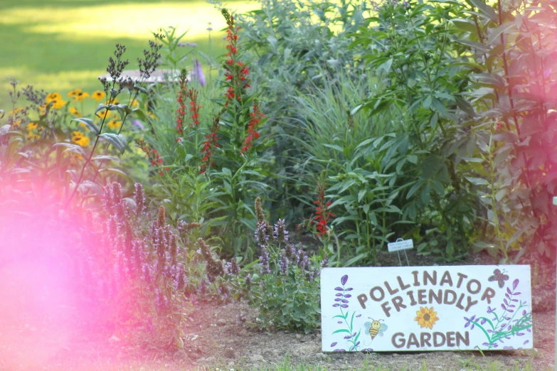 an outside sign is beside some plants