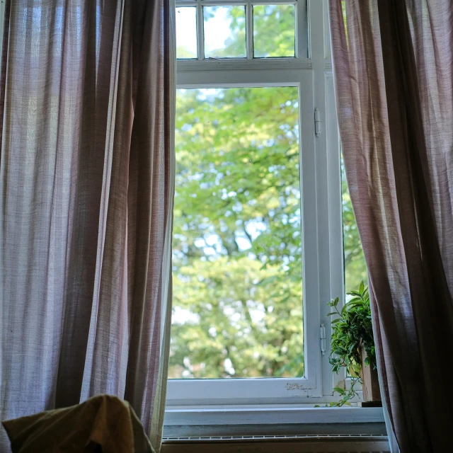 a curtained window with trees outside in the background