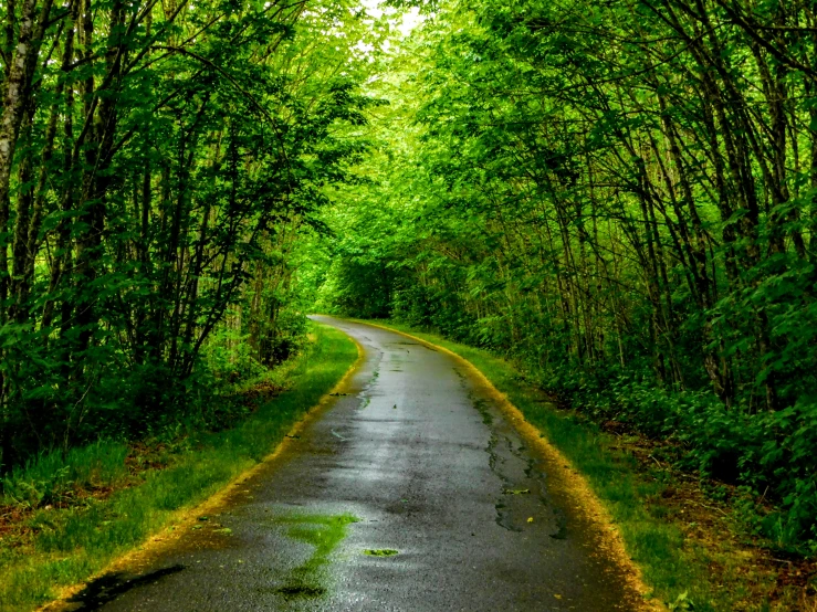 the road is long and empty with a wet pathway