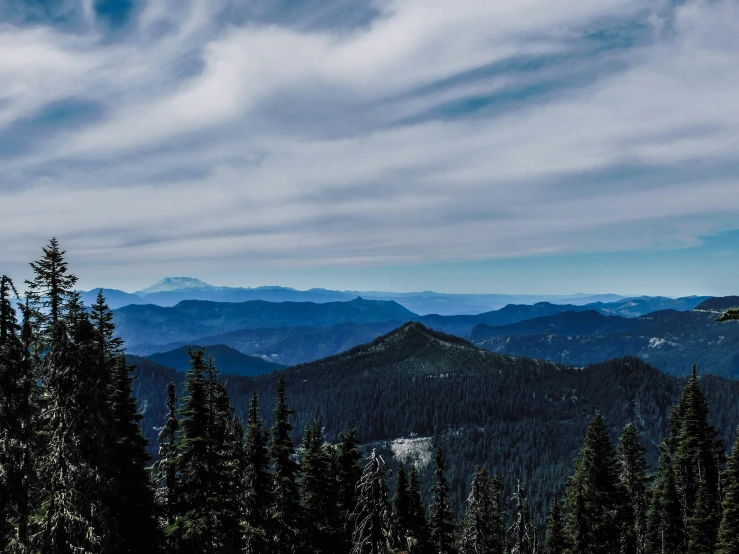 the distant, distant mountain tops, and trees with an ominous sky in the background