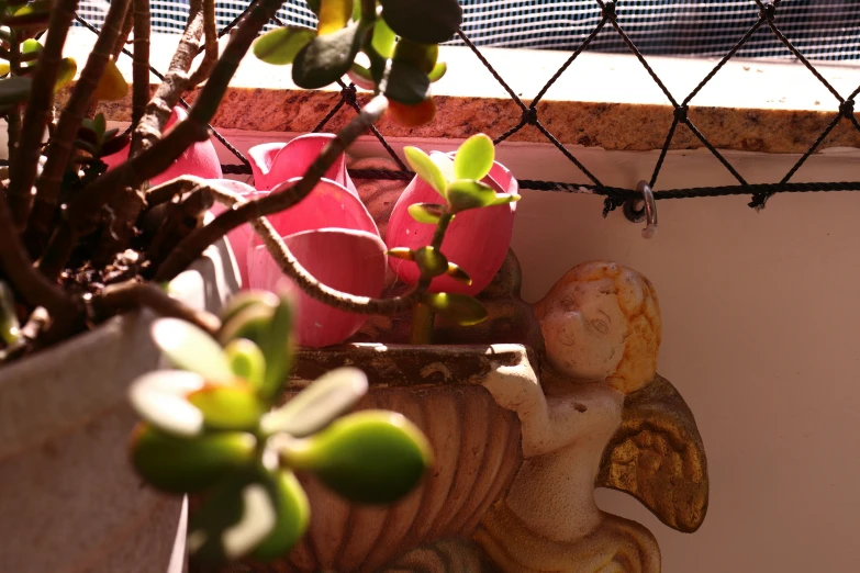 a potted plant that is sitting by a fence