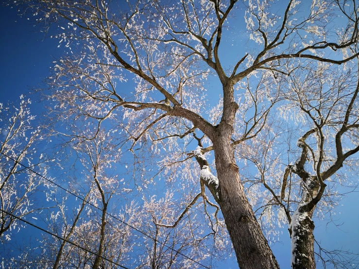 a person sitting in a tree on a sunny day