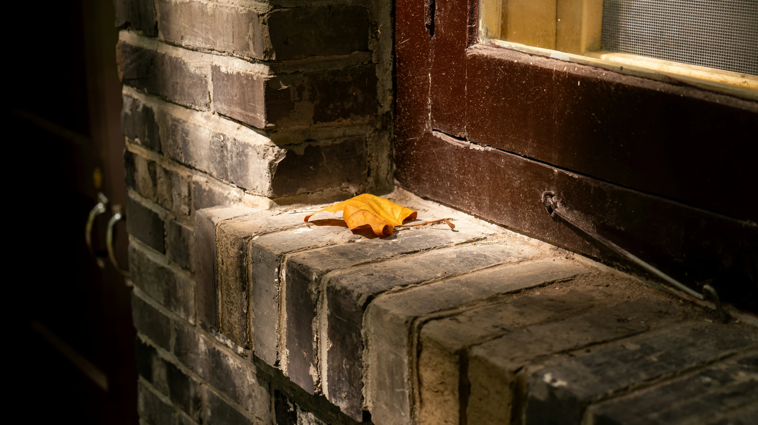 an orange leaf sitting on the side of a brick building